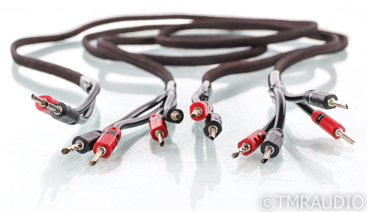 AudioQuest Rocket 33 Bi-Wire Speaker Cables; 8ft Pair