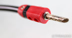 AudioQuest Rocket 33 Bi-Wire Speaker Cables; 8ft Pair