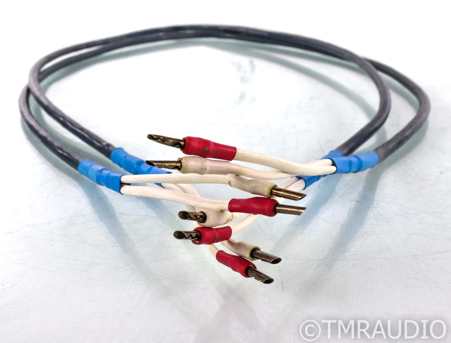 Audio Magic Presto II Speaker Cables; 1.5m Pair