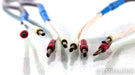 Audio Magic Presto II Speaker Cables; 1.5m Pair