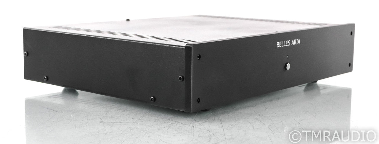 Belles Aria Mono Power Amplifier; David Belles; Single Amplifier