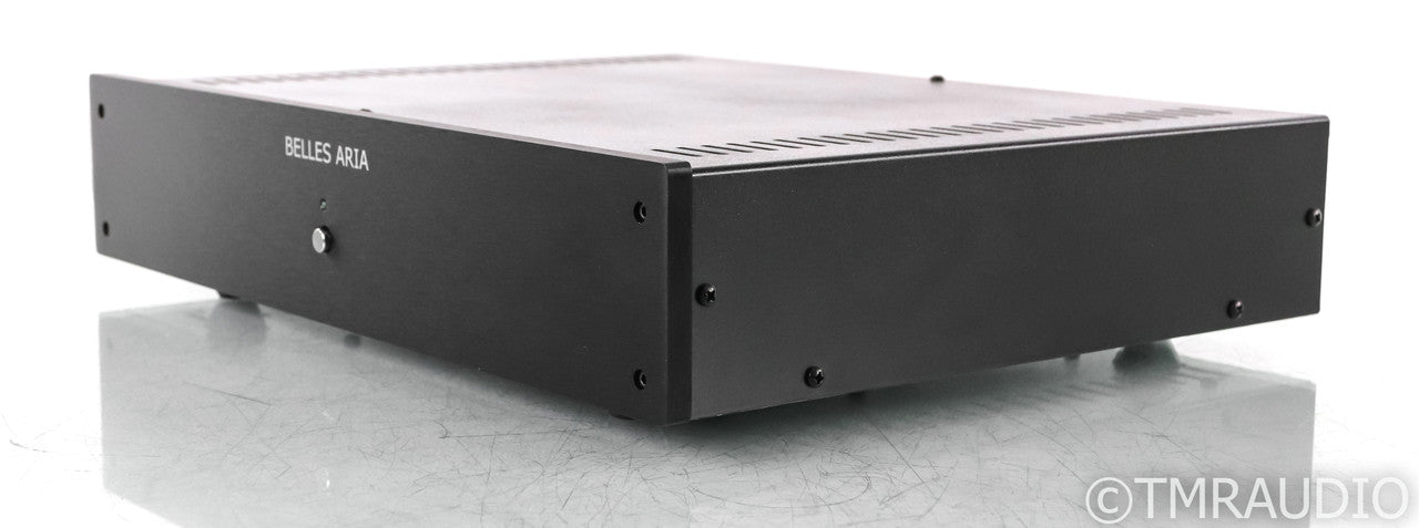 Belles Aria Mono Power Amplifier; David Belles; Single Amplifier
