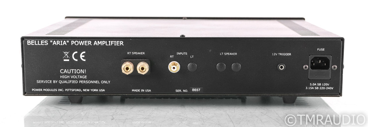Belles Aria Mono Power Amplifier; David Belles; Single Amplifier