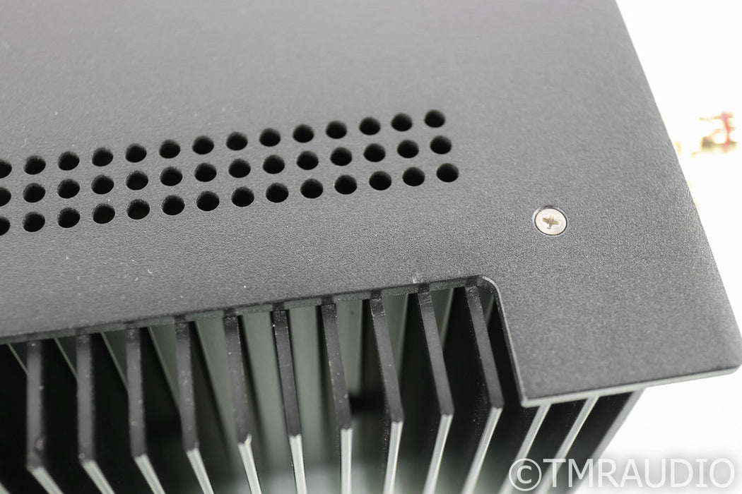 Schiit Aegir Stereo Power Amplifier; Black