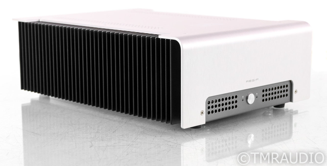 Schiit Aegir Stereo / Mono Power Amplifier; Single; Silver