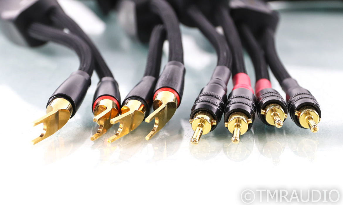 Transparent RSC8 Reference Speaker Cables; 8ft Pair; HI Z