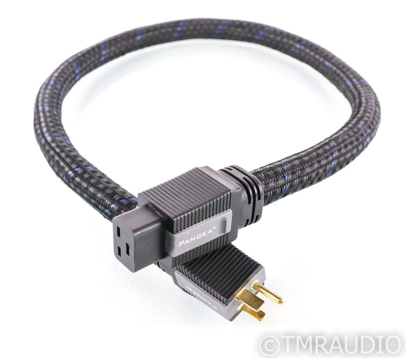 Pangea AC-9SE MKII 20 Amp Power Cable; 1m; C19