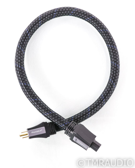 Pangea AC-9SE MKII Power Cable; 1m; C13