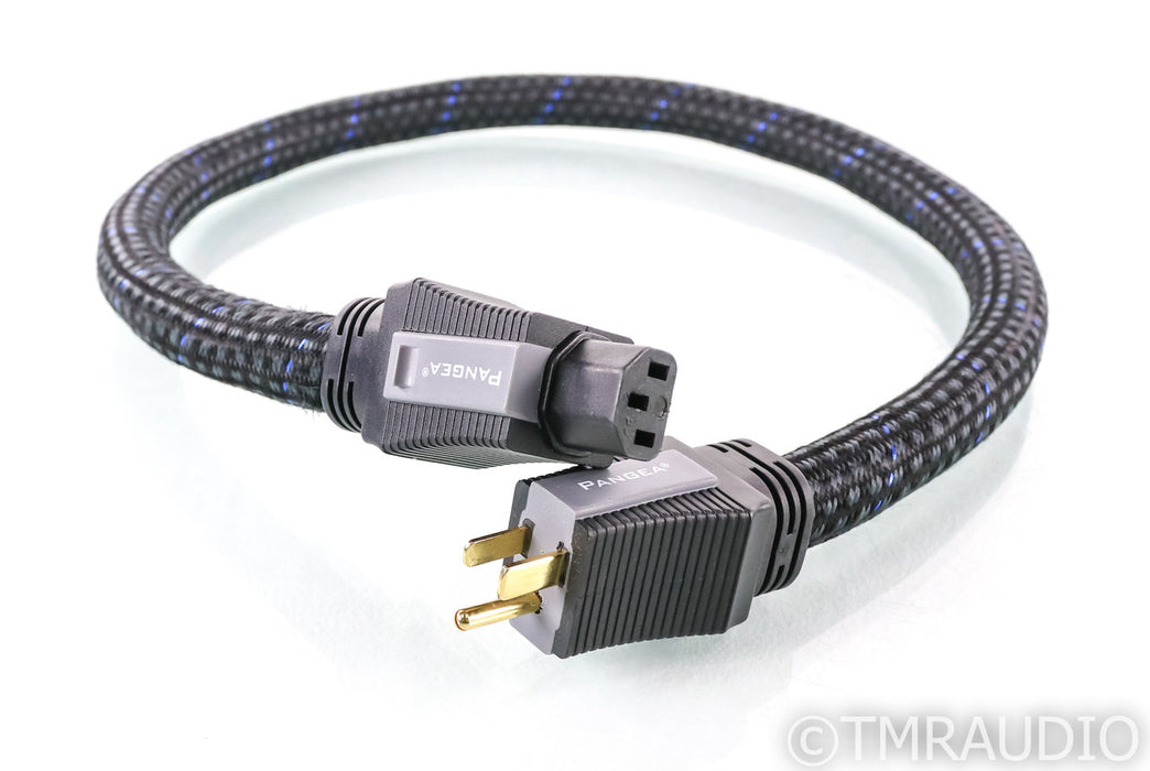 Pangea AC-9SE MKII Power Cable; 1m; C13