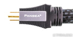 Pangea AC-9SE MKII Power Cable; 1m; C13