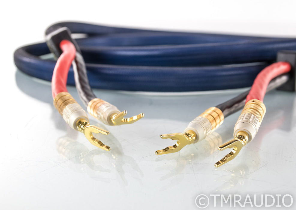 PS Audio Xstream Plus Speaker Cable; Single 4m Cable