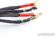 AudioQuest Bedrock Speaker Cables; 12ft Pair; 12ft Pair