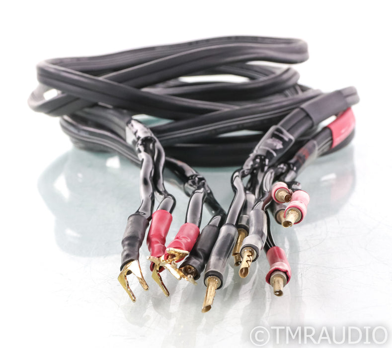 AudioQuest Slate Speaker Cable; 3m Pair; 3m Pair