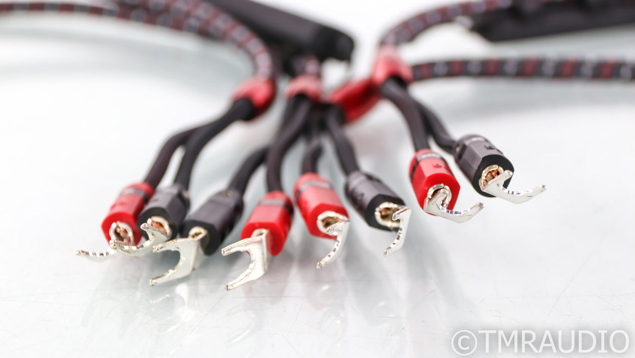 AudioQuest CV-8 Hyperlitz Speaker Cables; 8ft Pair; 8ft Pair