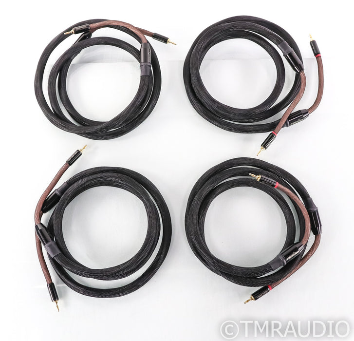 Tara Labs The One CX Speaker Cables; 8ft Pair; 8ft Pair