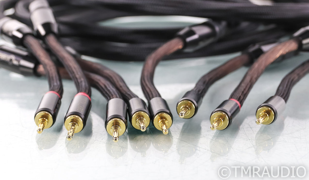 Tara Labs The One CX Speaker Cables; 8ft Pair; 8ft Pair