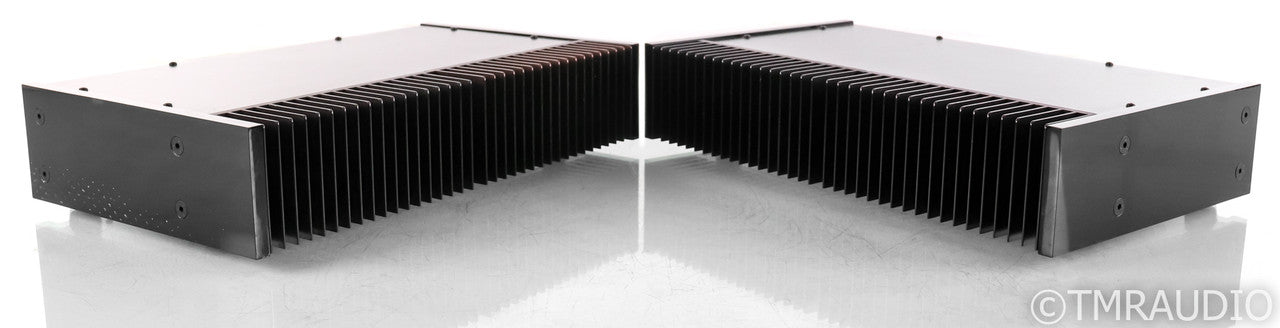 PSE Studio V Mono Power Amplifier; Black Pair; Black Pair
