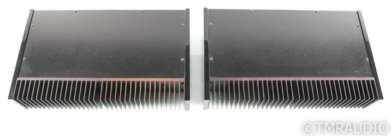 PSE Studio V Mono Power Amplifier; Black Pair; Black Pair
