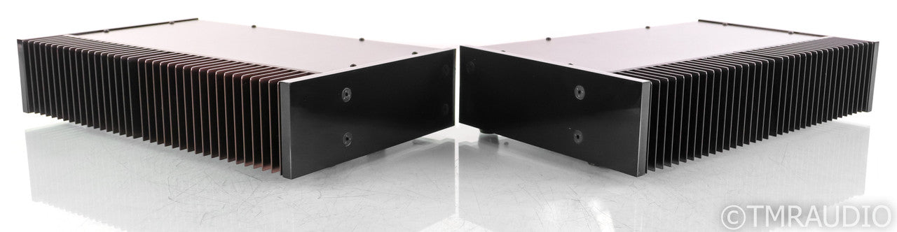 PSE Studio V Mono Power Amplifier; Black Pair; Black Pair