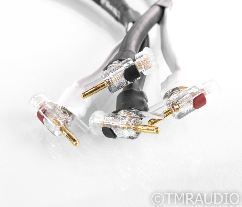Analysis Plus Silver Apex Speaker Cables; 5ft Pair