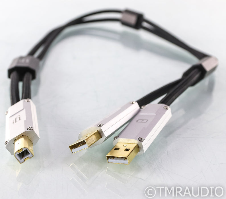 iFi Gemini Dual-Headed USB Cable; 0.7m Digital Interconnect