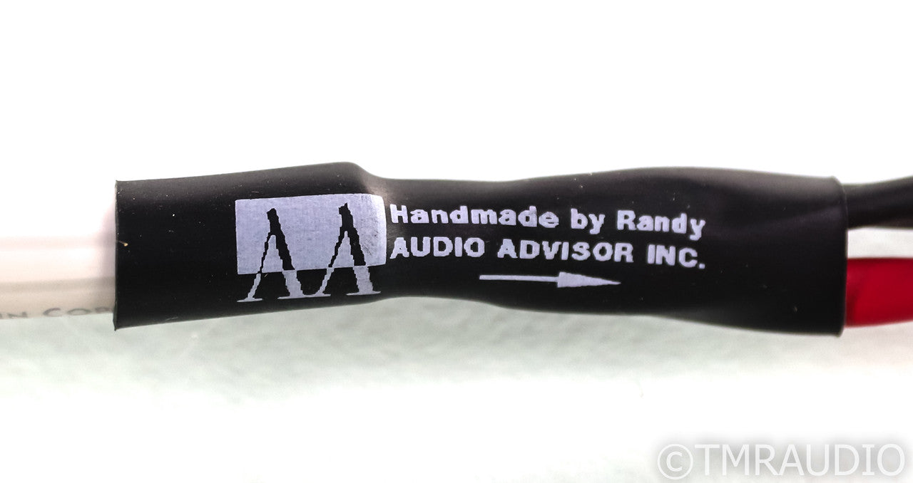 AudioQuest Type 4 Speaker Cables; 8ft Pair