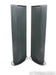 GoldenEar Triton One Floorstanding Speakers