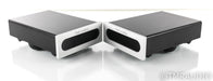 Bel Canto e.One Ref 1000 Mono Power Amplifier