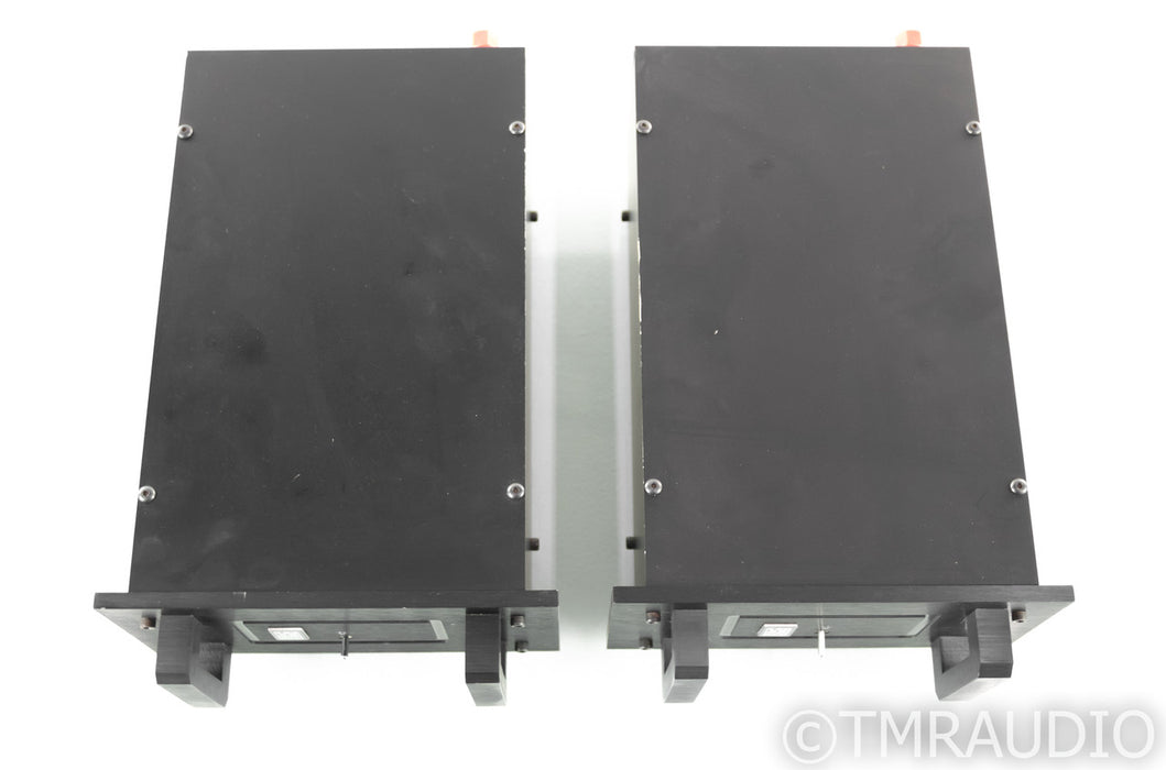 White Audio Labs D35 Mono Power Amplifier; Pair; D-35