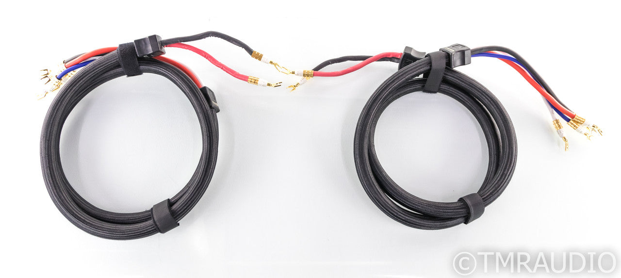 PS Audio xStream Statement Bi-Wire Speaker Cables