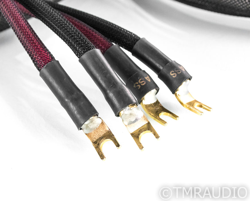 Transparent Audio MusicWave Ultra Bi-Wire Speaker Cables; 10ft Pair