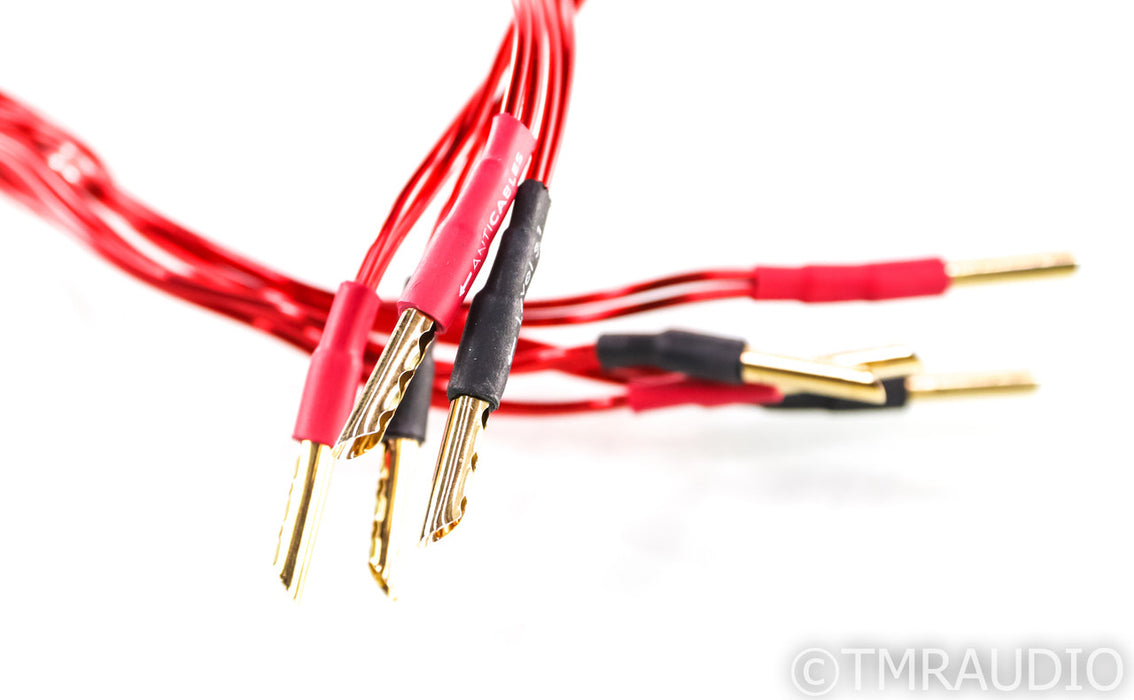 Anticables Level 3.1 Speaker Cables; 12ft Pair