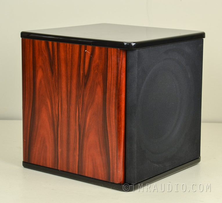 AV123 Onix Rocket UFW-10 Powered Subwoofer