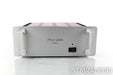 Classe Model Fifteen Stereo Power Amplifier; Silver; 15