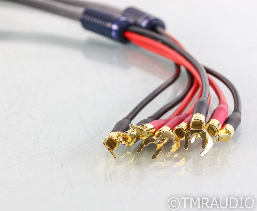 Shunyata Research Venom V2 Bi-Wire Speaker Cables; 2.5m Pair; STIS Spades