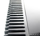 PS Audio BHK Signature 300 Mono Tube Hybrid Power Amplifier