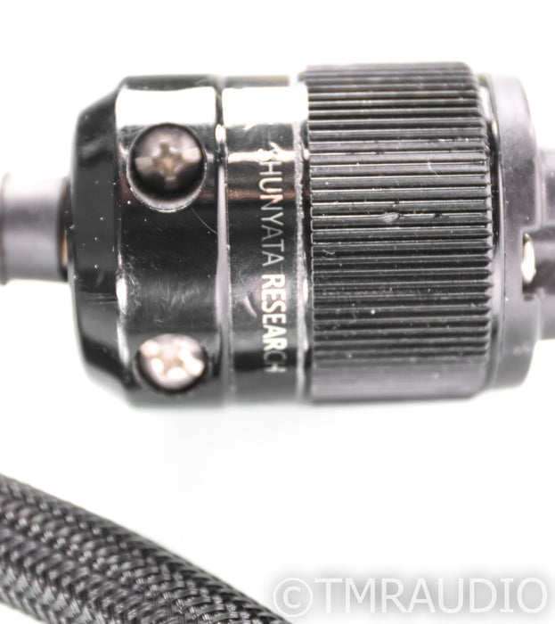 Shunyata Research Sidwinder VTX Power Cable; 6ft AC Cord