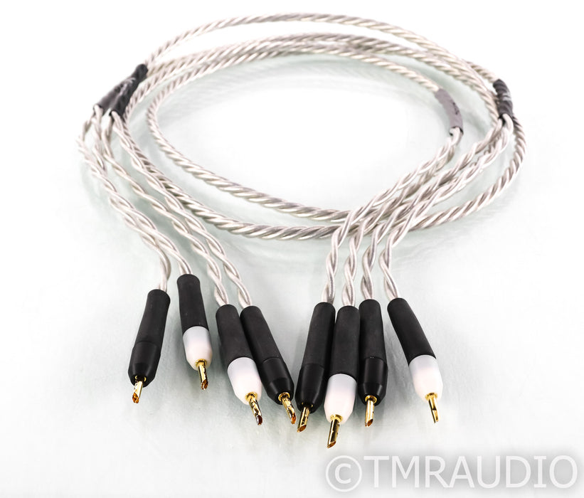Ansuz Acoustics X Speaker Cables; 2m Pair