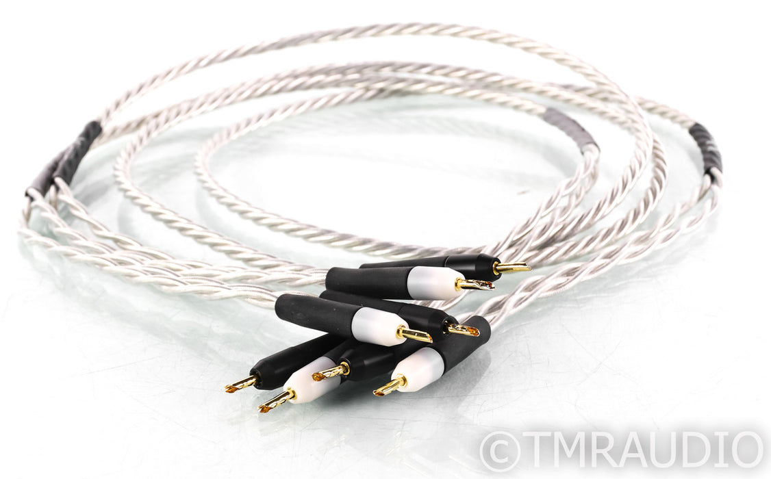 Ansuz Acoustics X Speaker Cables; 2m Pair