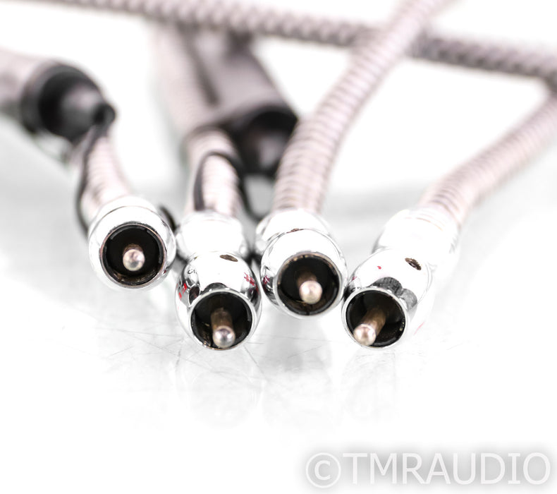 AudioQuest Cheetah RCA Cables; 2m Pair; 36v DBS