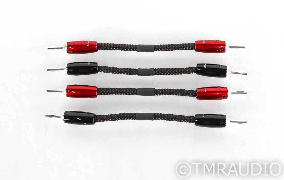 AudioQuest Saturn BiWire Jumper Cables; Silver