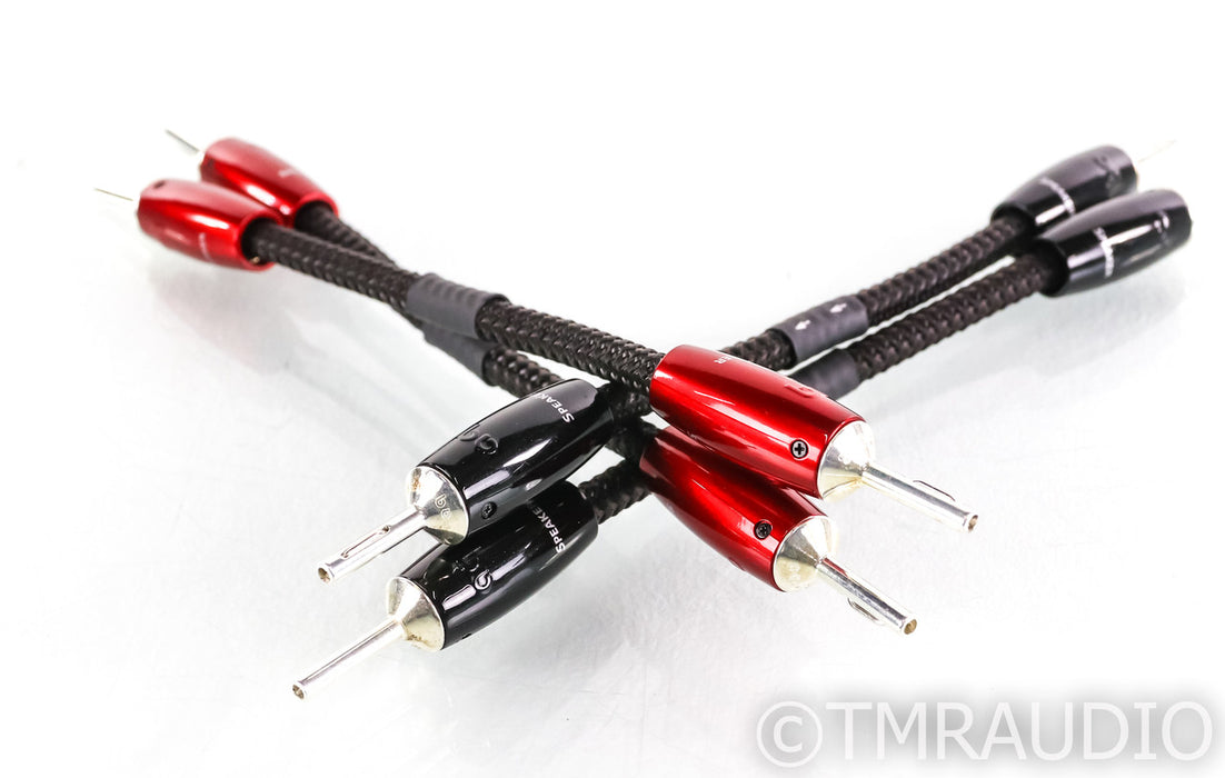 AudioQuest Saturn BiWire Jumper Cables; Silver