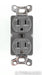 AudioQuest NRG Edison 15 AC Duplex Wall Outlet; Low Z (Open Box)