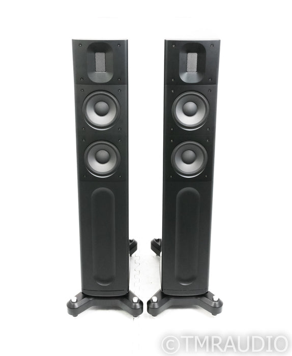 Raidho D2 Floorstanding Speakers