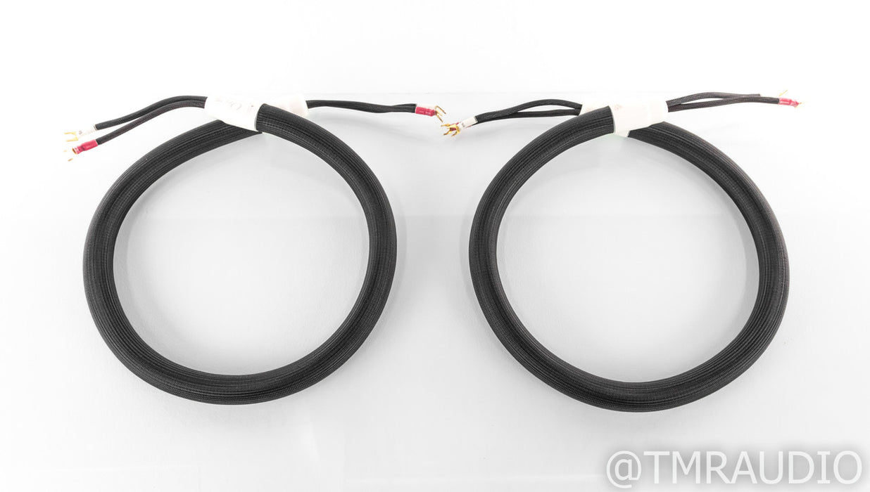 Shunyata Orion Speaker Cables; 5ft Pair