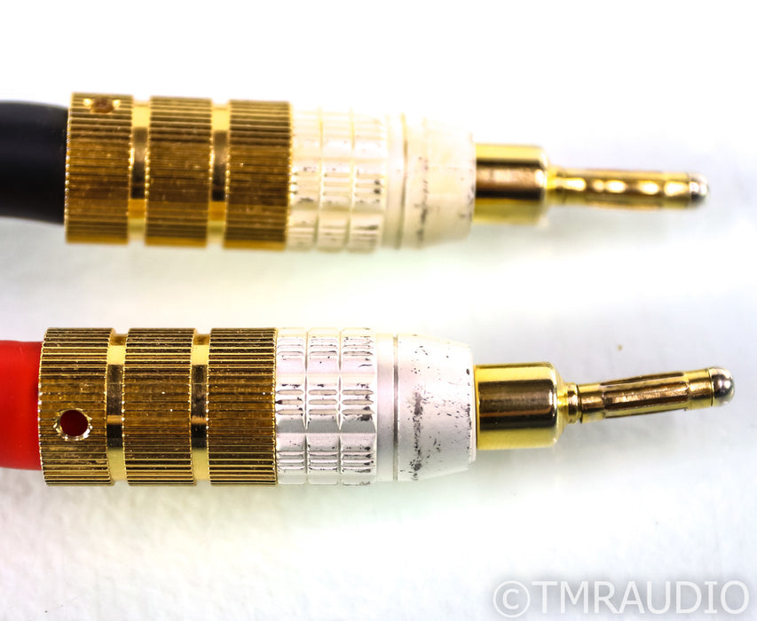 PS Audio xStream Prelude Speaker Cables; 2m Pair