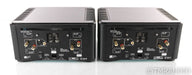 PS Audio BHK Signature 300 Mono Tube Hybrid Power Amplifier