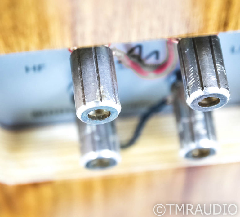 Audio Note AN-J/SPe Hemp Bookshelf Speakers