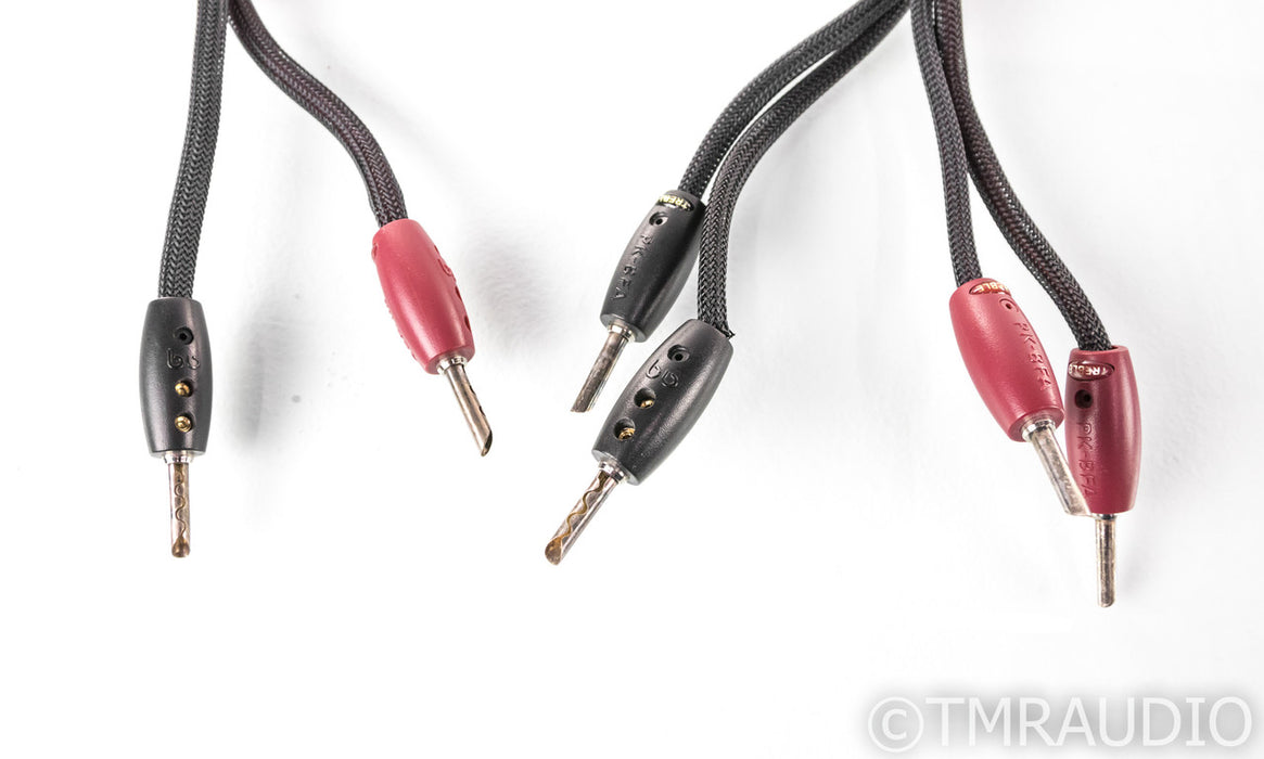 AudioQuest Rockefeller Bi-Wire Speaker Cables; 10ft Pair; 72v DBS