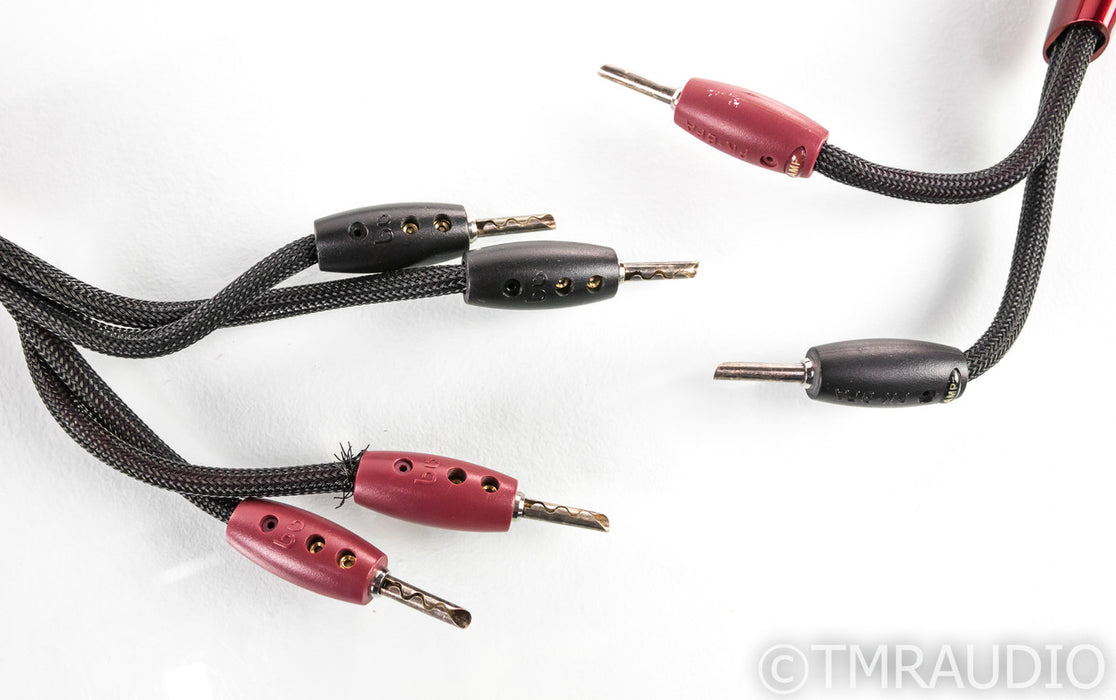 AudioQuest Rockefeller Bi-Wire Speaker Cables; 10ft Pair; 72v DBS